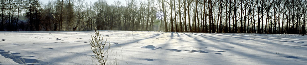 Obec Hrušová