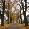 dsc02927a