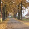 dsc02932a