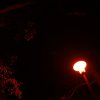 dsc03395