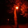 dsc03415