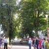 img_4611