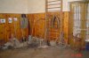 dsc02003