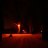 Obec Hrušová &raquo; Noc v zimě