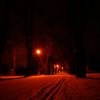 dsc04453
