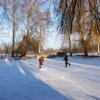 dsc04550